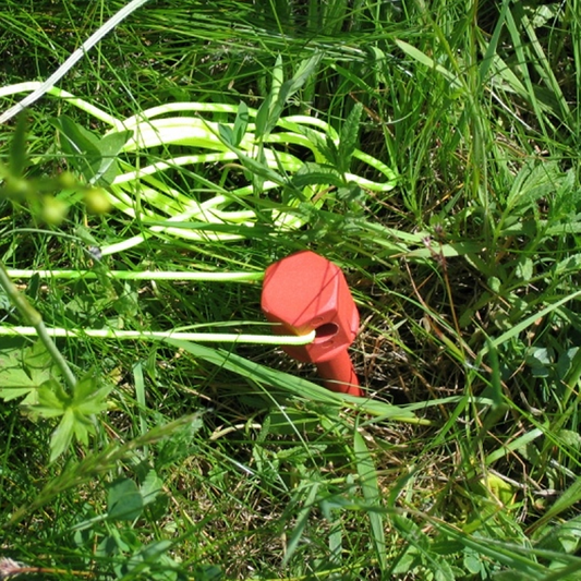 Eingedrehte Erdschraube mit Leine